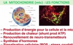 Les Ondes et la Santé entretien avec Fréderic Furlano PART 3/4